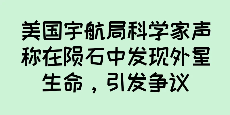 美国宇航局科学家声称在陨石中发现外星生命，引发争议