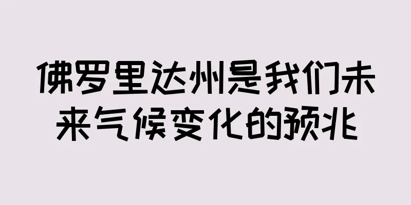 佛罗里达州是我们未来气候变化的预兆
