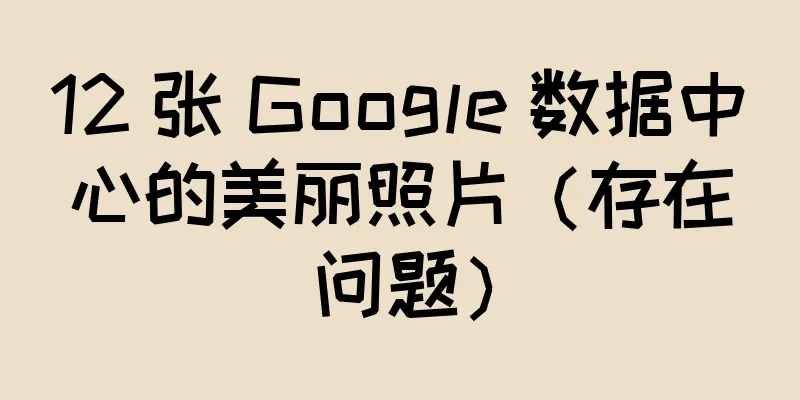12 张 Google 数据中心的美丽照片（存在问题）