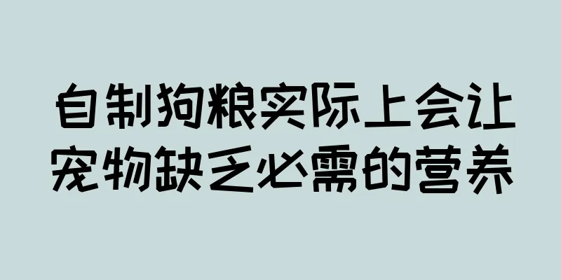 自制狗粮实际上会让宠物缺乏必需的营养