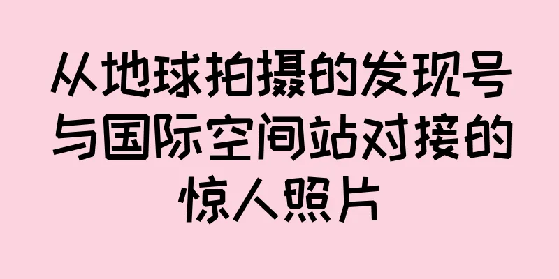 从地球拍摄的发现号与国际空间站对接的惊人照片