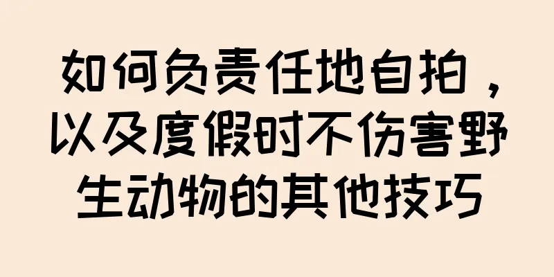 如何负责任地自拍，以及度假时不伤害野生动物的其他技巧