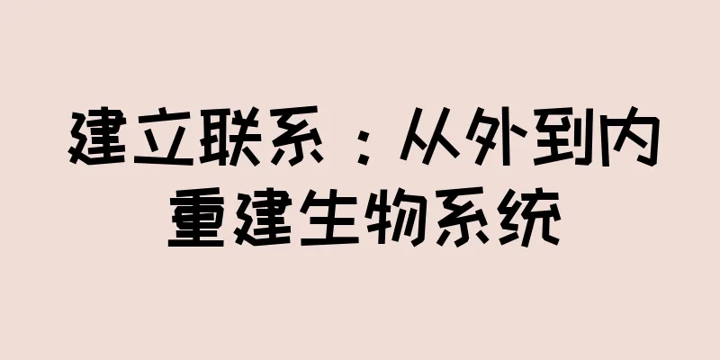 建立联系：从外到内重建生物系统