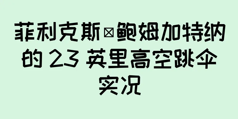 菲利克斯·鲍姆加特纳的 23 英里高空跳伞实况
