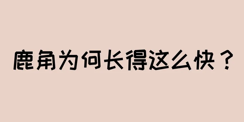 鹿角为何长得这么快？