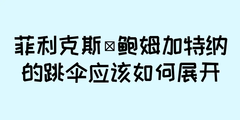 菲利克斯·鲍姆加特纳的跳伞应该如何展开