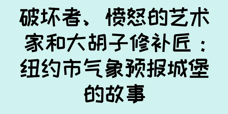 破坏者、愤怒的艺术家和大胡子修补匠：纽约市气象预报城堡的故事