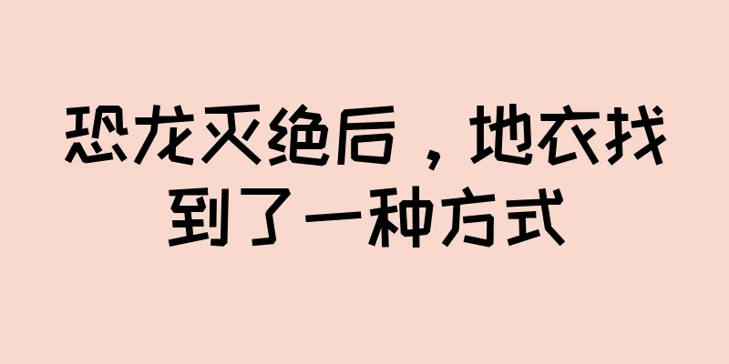 恐龙灭绝后，地衣找到了一种方式