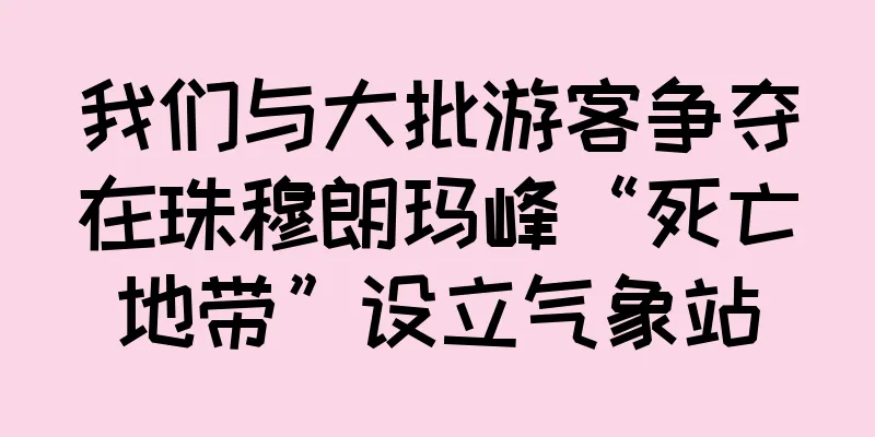 我们与大批游客争夺在珠穆朗玛峰“死亡地带”设立气象站