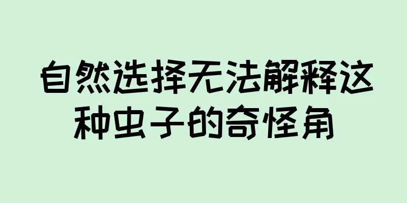 自然选择无法解释这种虫子的奇怪角