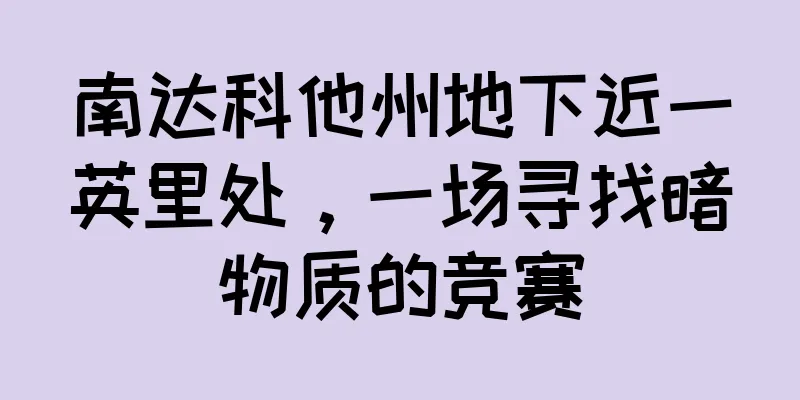 南达科他州地下近一英里处，一场寻找暗物质的竞赛