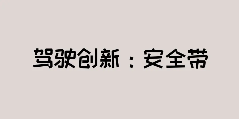 驾驶创新：安全带