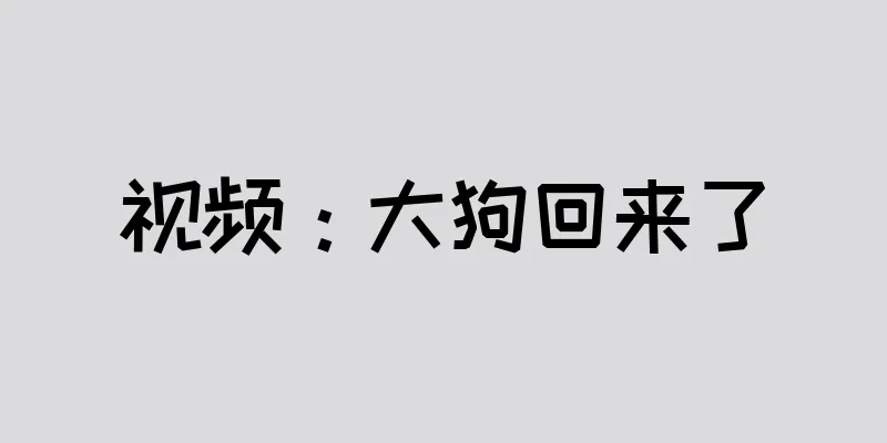 视频：大狗回来了