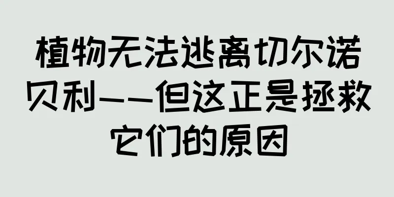 植物无法逃离切尔诺贝利——但这正是拯救它们的原因