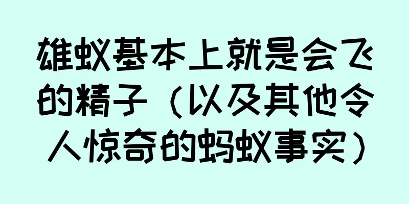 雄蚁基本上就是会飞的精子（以及其他令人惊奇的蚂蚁事实）