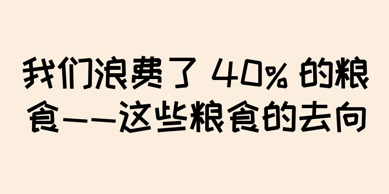 我们浪费了 40% 的粮食——这些粮食的去向
