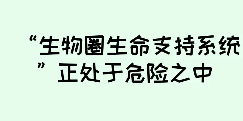 “生物圈生命支持系统”正处于危险之中