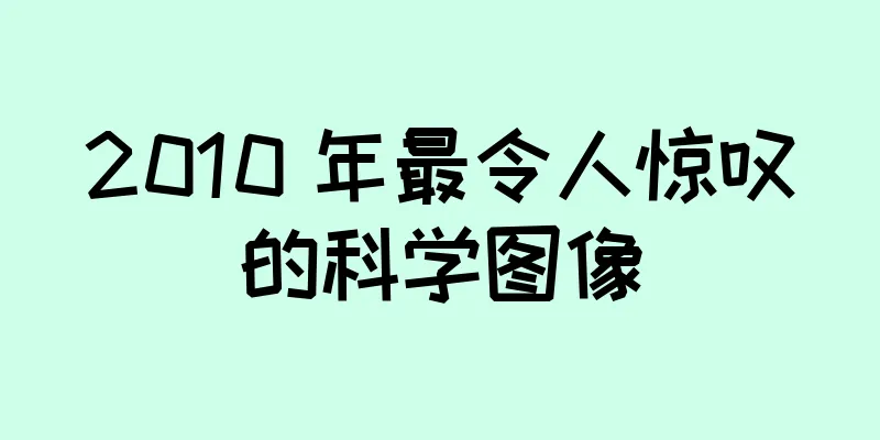 2010 年最令人惊叹的科学图像