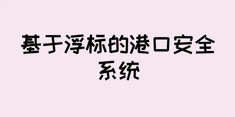 基于浮标的港口安全系统