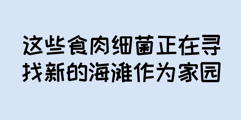 这些食肉细菌正在寻找新的海滩作为家园