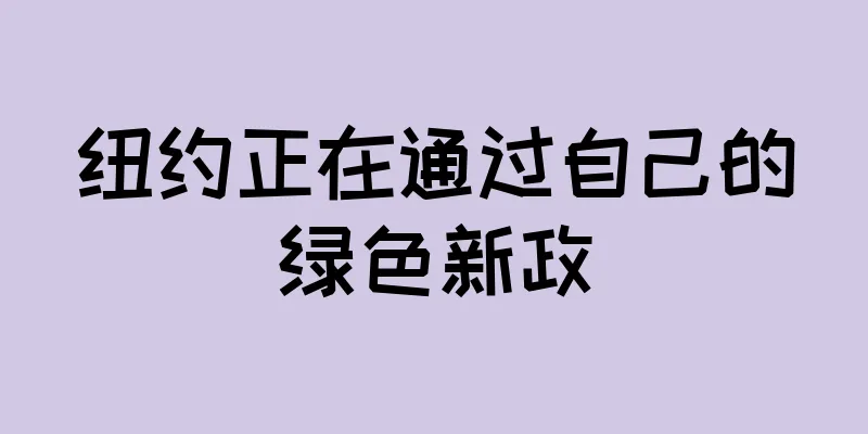 纽约正在通过自己的绿色新政