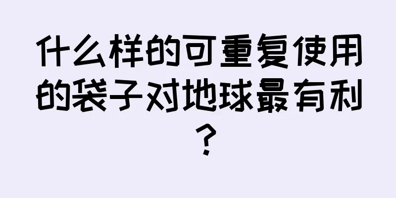 什么样的可重复使用的袋子对地球最有利？