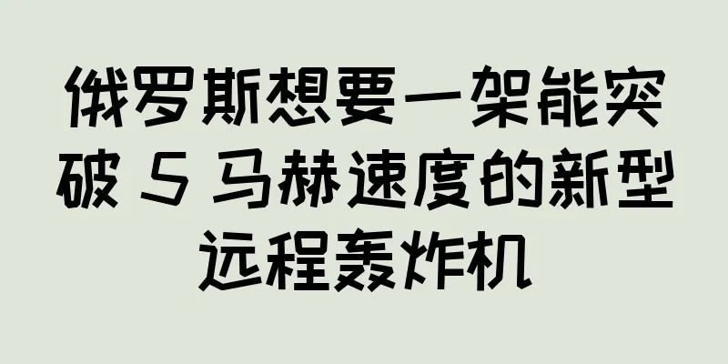 俄罗斯想要一架能突破 5 马赫速度的新型远程轰炸机