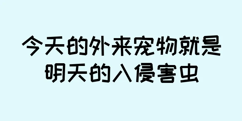 今天的外来宠物就是明天的入侵害虫