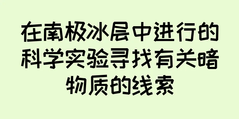 在南极冰层中进行的科学实验寻找有关暗物质的线索