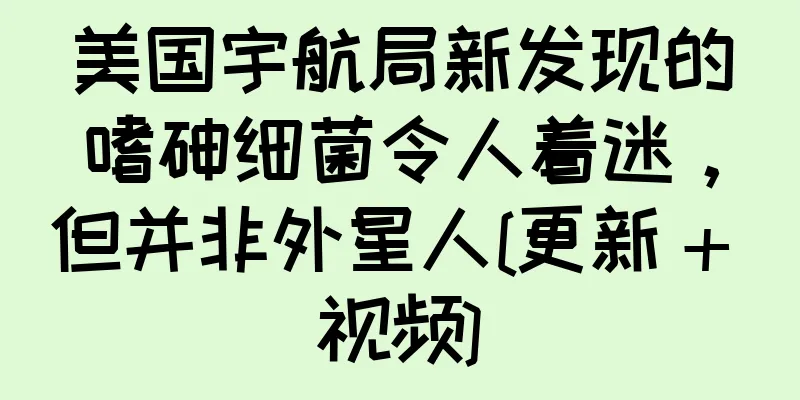 美国宇航局新发现的嗜砷细菌令人着迷，但并非外星人[更新 + 视频]