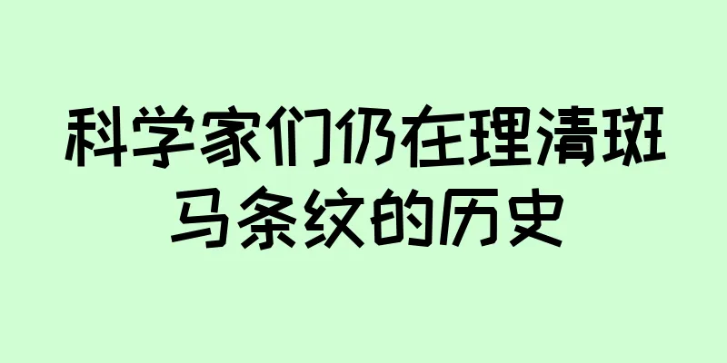 科学家们仍在理清斑马条纹的历史