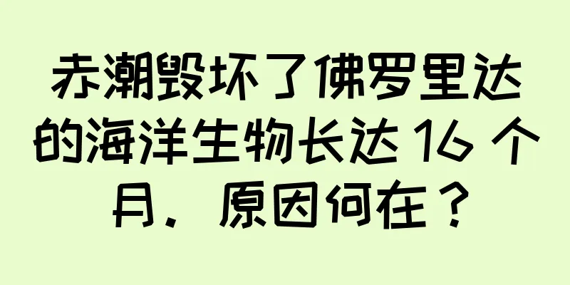 赤潮毁坏了佛罗里达的海洋生物长达 16 个月。原因何在？