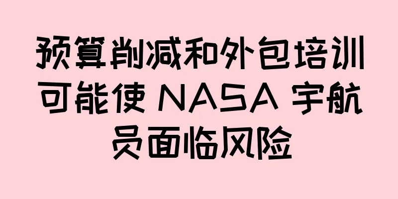 预算削减和外包培训可能使 NASA 宇航员面临风险