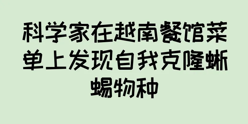 科学家在越南餐馆菜单上发现自我克隆蜥蜴物种