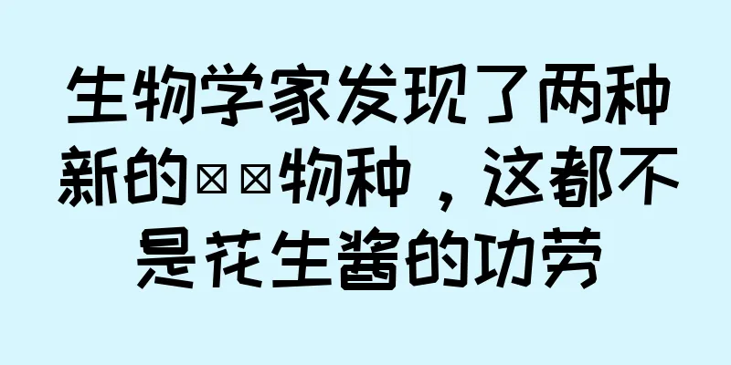 生物学家发现了两种新的鼩鼱物种，这都不是花生酱的功劳