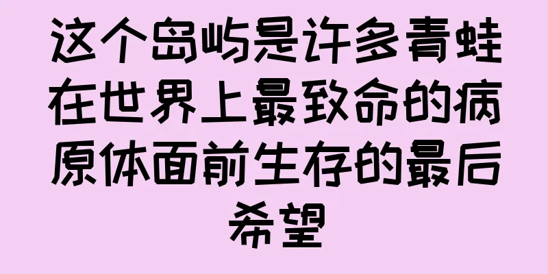 这个岛屿是许多青蛙在世界上最致命的病原体面前生存的最后希望