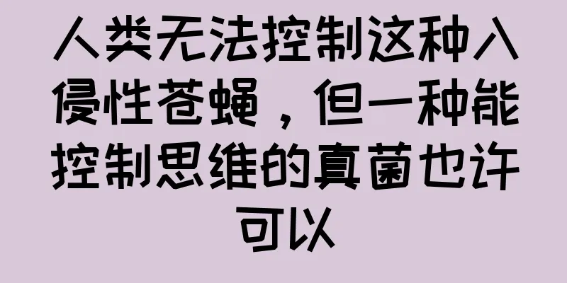 人类无法控制这种入侵性苍蝇，但一种能控制思维的真菌也许可以