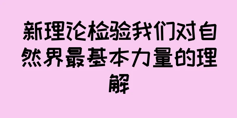 新理论检验我们对自然界最基本力量的理解