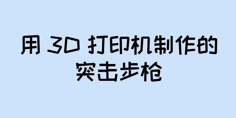 用 3D 打印机制作的突击步枪