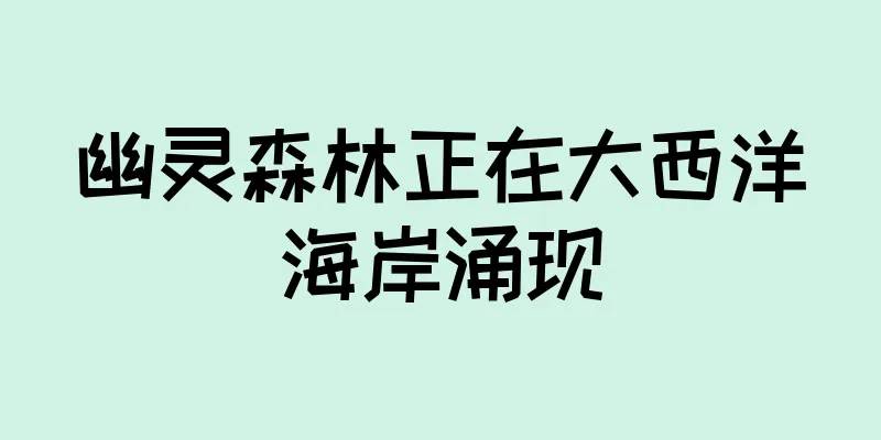 幽灵森林正在大西洋海岸涌现