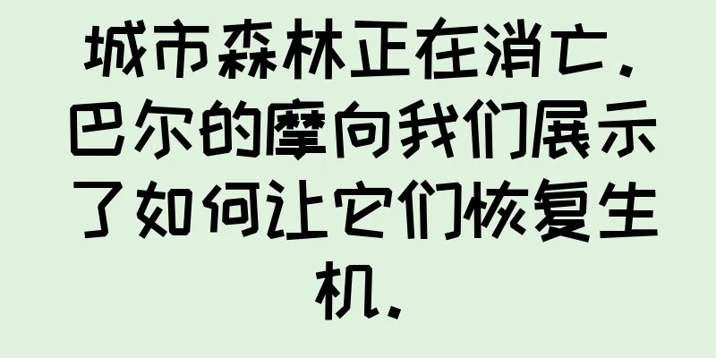 城市森林正在消亡。巴尔的摩向我们展示了如何让它们恢复生机。