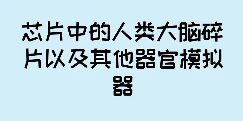 芯片中的人类大脑碎片以及其他器官模拟器