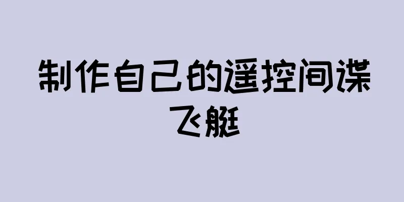 制作自己的遥控间谍飞艇
