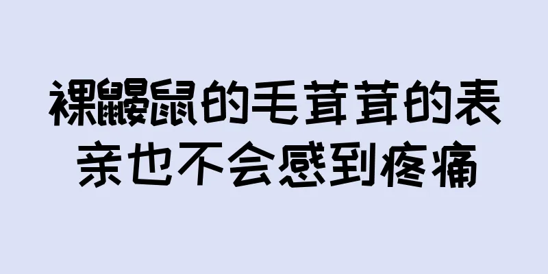 裸鼹鼠的毛茸茸的表亲也不会感到疼痛