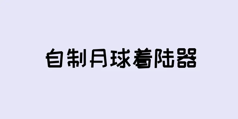 自制月球着陆器