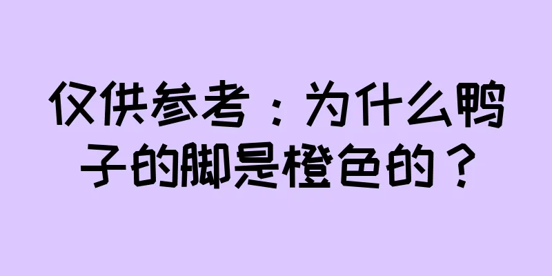 仅供参考：为什么鸭子的脚是橙色的？