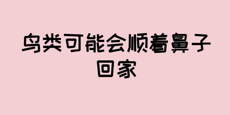 鸟类可能会顺着鼻子回家