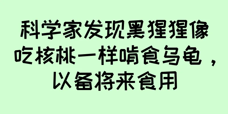 科学家发现黑猩猩像吃核桃一样啃食乌龟，以备将来食用