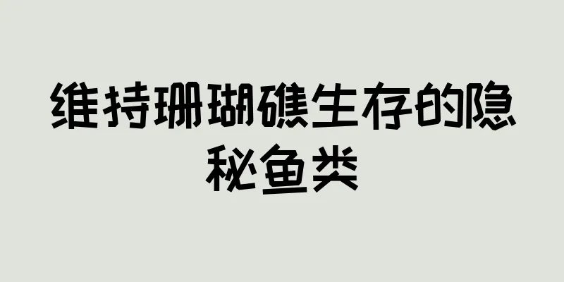 维持珊瑚礁生存的隐秘鱼类