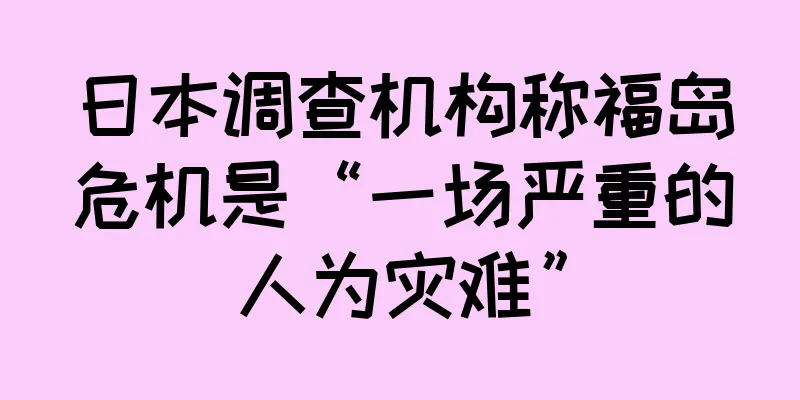 日本调查机构称福岛危机是“一场严重的人为灾难”